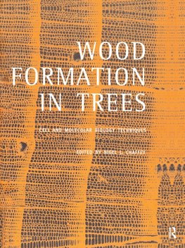 Wood Formation in Trees