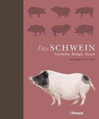 Das Schwein