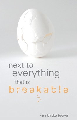 Next to Everything that is Breakable