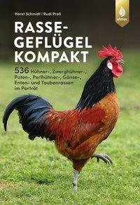 Rassegeflügel kompakt