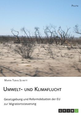 Umwelt- und Klimaflucht. Gesetzgebung und Reformdebatten der EU zur Migrationssteuerung