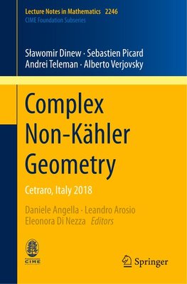 Complex Non-Kähler Geometry