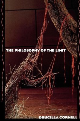 Cornell, D: Philosophy of the Limit