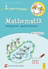 Lernen mit Teo und Tia Mathematik - 1. Klasse Volksschule