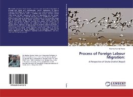 Process of Foreign Labour Migration: