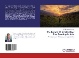 The Future Of Smallholder Rice Farming In Asia