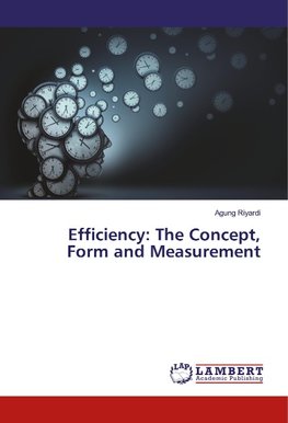 Efficiency: The Concept, Form and Measurement