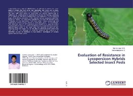 Evaluation of Resistance in Lycopersicon Hybrids Selected Insect Pests