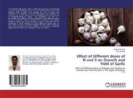 Effect of Different doses of N and S on Growth and Yield of Garlic