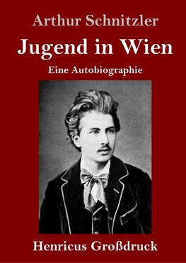 Jugend in Wien (Großdruck)