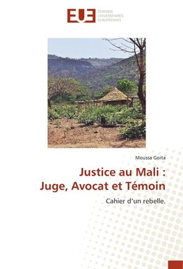 Justice au Mali : Juge, Avocat et Témoin