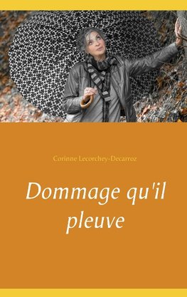 Dommage qu'il pleuve