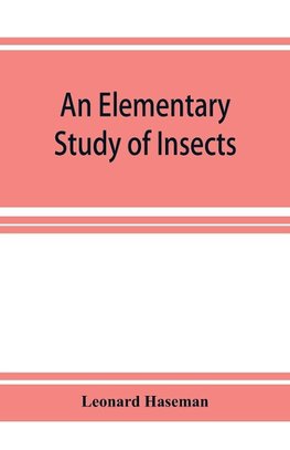 An Elementary Study of Insects