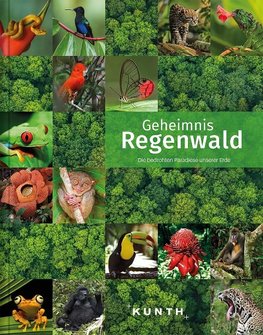 Geheimnis Regenwald