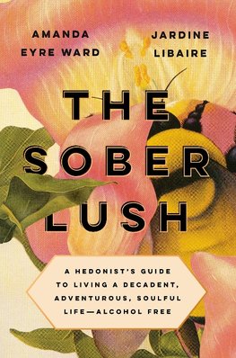 The Sober Lush: A Hedonist's Guide to Living a Decadent, Adventurous, Soulful Life--Alcohol Free