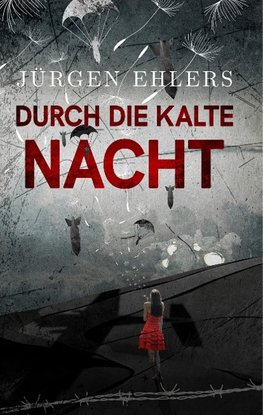 Durch die kalte Nacht