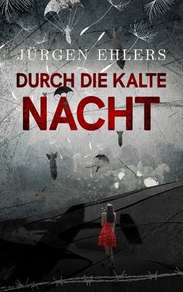 Durch die kalte Nacht