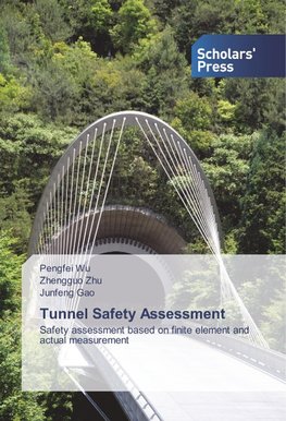 Tunnel Safety Assessment