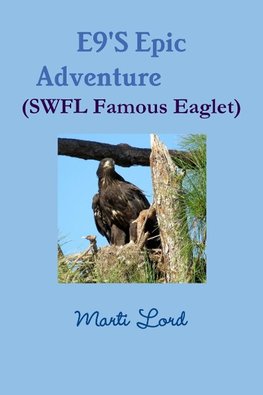 E9'S Epic Adventure (SWFL Famous Eaglet)