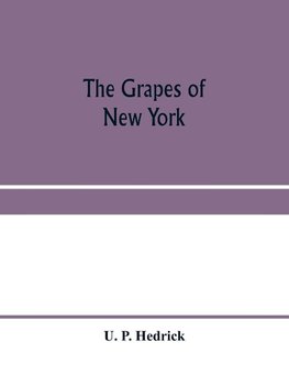 The grapes of New York