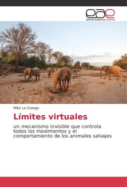 Límites virtuales