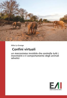 Confini virtuali