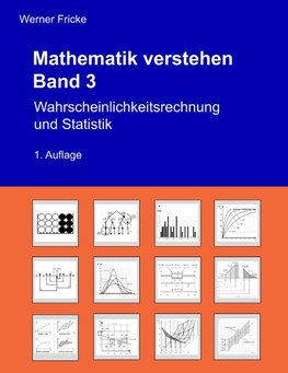 Mathematik verstehen