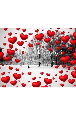 Valentine's   winter wonderland  red hearts  creative  blank  book why   I love you