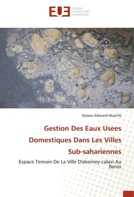 Gestion Des Eaux Usees Domestiques Dans Les Villes Sub-sahariennes