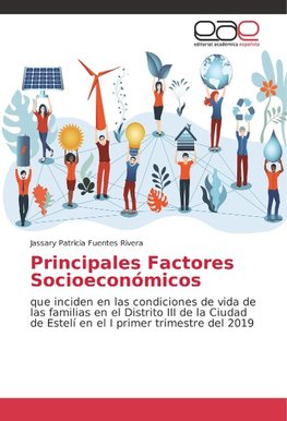 Principales Factores Socioeconómicos