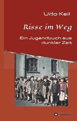 Risse im Weg