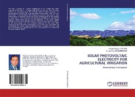 SOLAR PHOTOVOLTAIC ELECTRICITY FOR AGRICULTURAL IRRIGATION