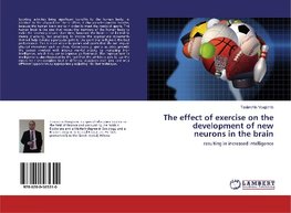 The effect of exercise on the development of new neurons in the brain