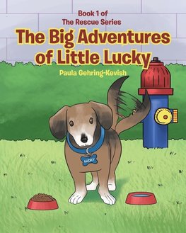 The Big Adventures of Little Lucky