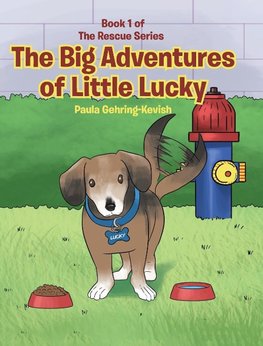 The Big Adventures of Little Lucky