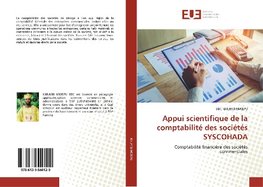 Appui scientifique de la comptabilité des sociétés SYSCOHADA