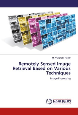 Remotely Sensed Image Retrieval Based on Various Techniques