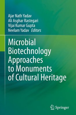 Microbial Biotechnology Approaches to Monuments of Cultural Heritage