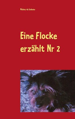 Eine Flocke erzählt