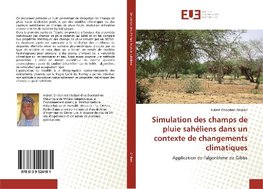 Simulation des champs de pluie sahéliens dans un contexte de changements climatiques