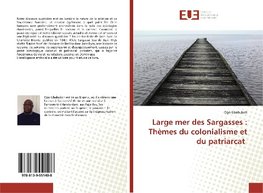 Large mer des Sargasses : Thèmes du colonialisme et du patriarcat