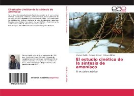 El estudio cinético de la síntesis de amoníaco