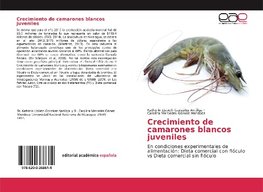 Crecimiento de camarones blancos juveniles