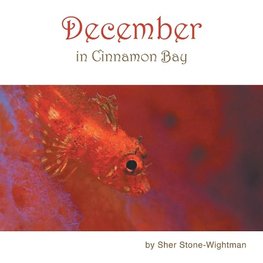 December in Cinnamon Bay