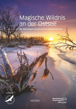 Magische Wildnis an der Ostsee