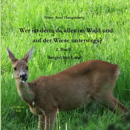 Wer ist denn da alles im Wald und auf der Wiese unterwegs?