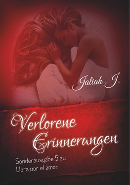 Verlorene Erinnerungen ( Sonderausgabe 5 der Llora por el amor - Reihe )