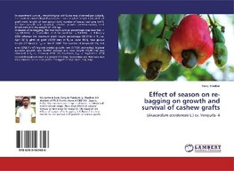 Effect of season on re-bagging on growth and survival of cashew grafts