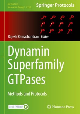 Dynamin Superfamily GTPases