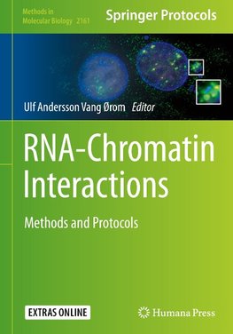 RNA-Chromatin Interactions